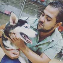 mano