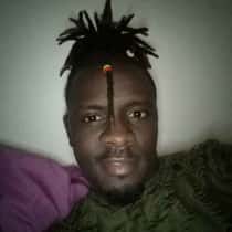 Gibo Dollar
