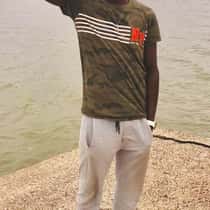 lamin