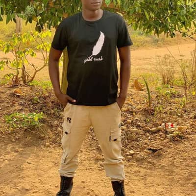 Governor Femi