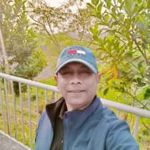 Arman