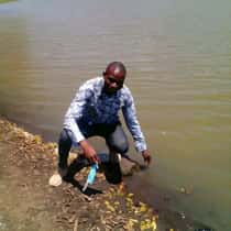 Allan