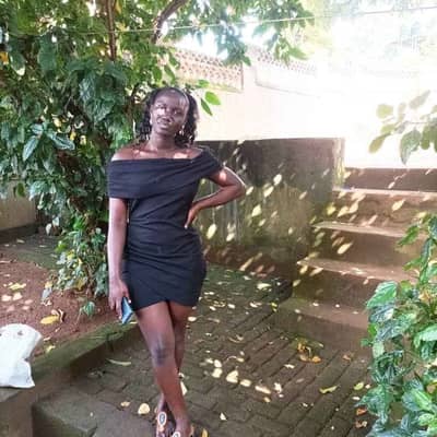Jolly256