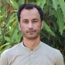 Syed