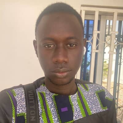 Lamin