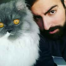 Shek