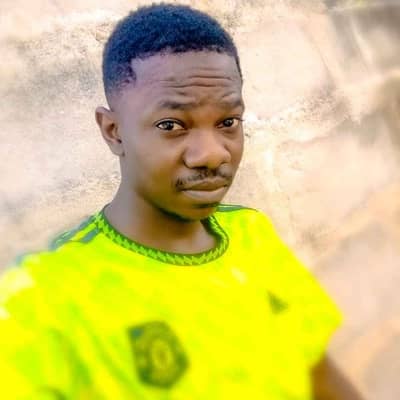 alvnstevejr