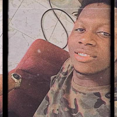 lamin