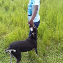 grace