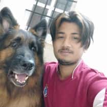 Anil boro
