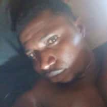 bodo