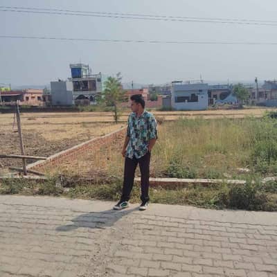 ansh