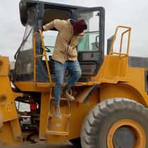 Daudi