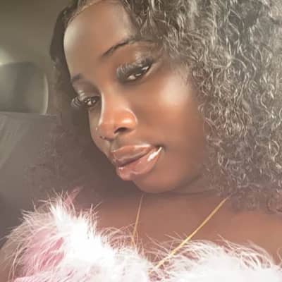 Bisola