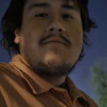 Theboggy