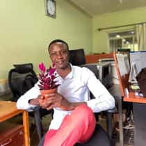 Kuteesa Job