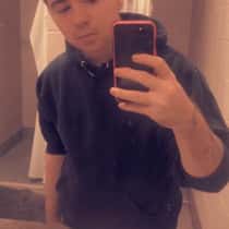 rayvis