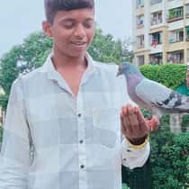 New User