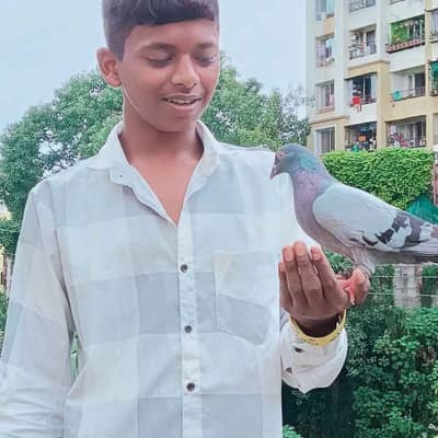 New User