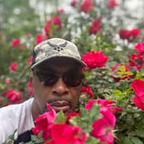 CountryATLProfessor