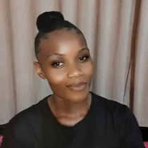 yogi