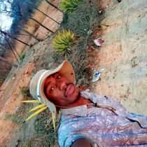 kudzi