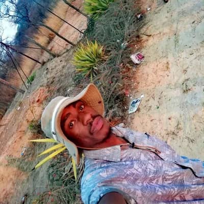 kudzi