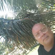 Surjan