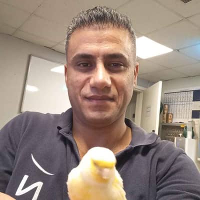 Arif