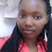 Liphia