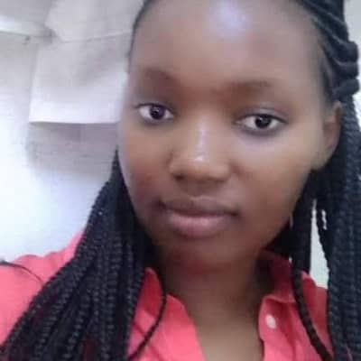Liphia