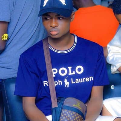 lamine